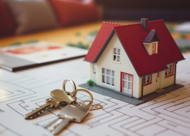 Đơn vị thi công nhà ở dân dụng trọn gói với giải pháp toàn diện để nhà đẹp đúng hạn và không phát sinh